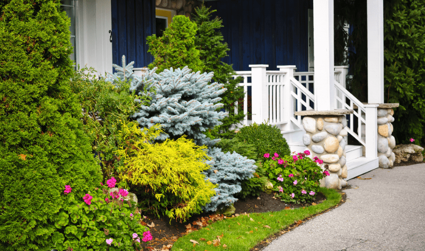 Landscaping